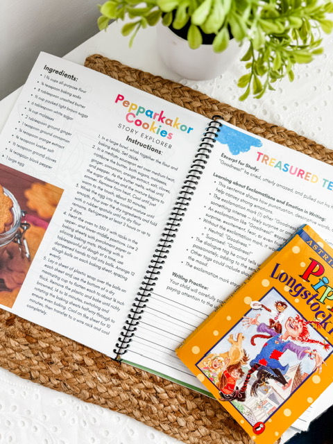 Thumbnail: Pippi Longstocking Book Explorer Guide - Printed/Spiral-Bound
