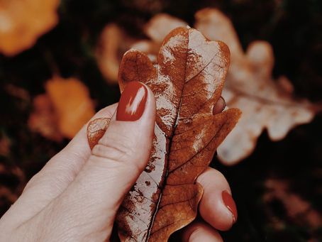 "Celebrating Fall's Finest: Nail Trends to Embrace the Season's Palette"
