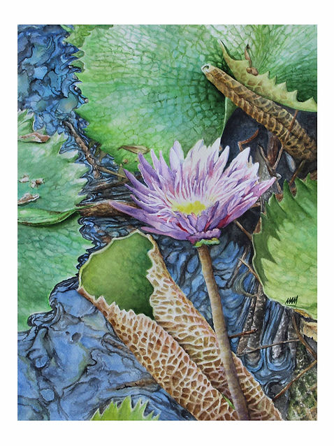 LR-Lotus Flower-11x14-Watercolor-Mark Murphy.jpg