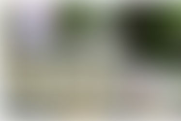 Special meal ✨️✨️