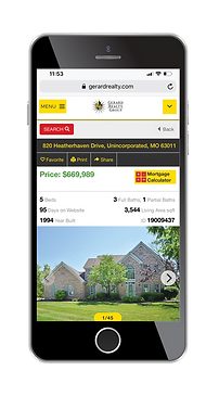 Individual Property Website Phone.png