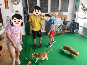 感謝 #長期來院帶孩子健身操的陳先生 及#午居咖啡