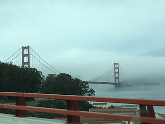 IMG_0403.jpeg