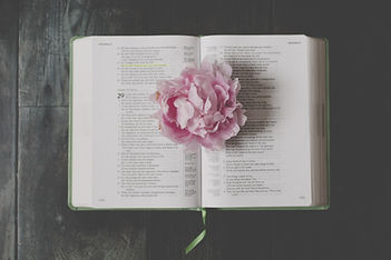 Livre ouvert et pivoine