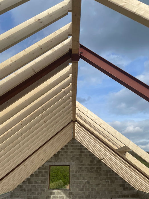 Le projet consiste en la transformation d'un bâtiment du centre-ville de Namur. 
Derrière cette jolie façade contemporaine se cachera la rénovation de 7 logements.
Le projet renforce le front de bâtisse existant de la rue. 
On vise une belle mixité de logements.
​
Entreprise : Denis Dujeu - Chimsco  
Idtoit - Adrien Challe