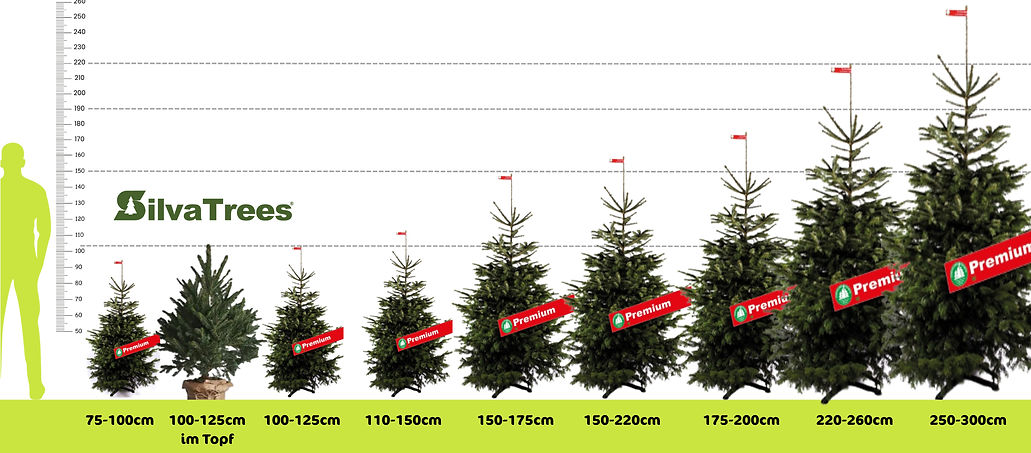 weihnachtsbäume grössen (1)_edited.jpg