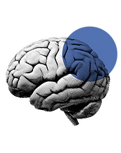 Animações vídeos.png