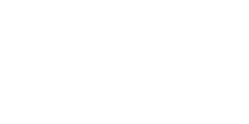 butin-logo_white_small.png