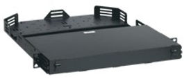 Picture2.emf.jpg