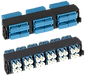 Picture1.png