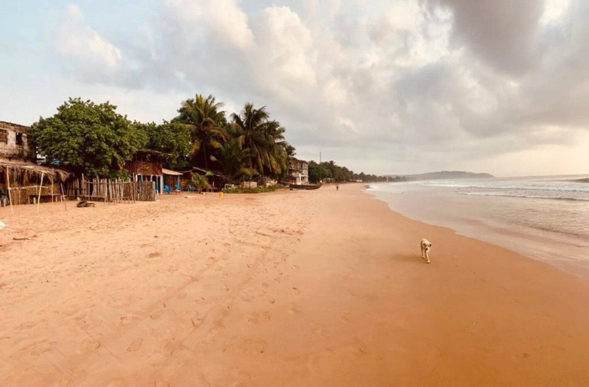 Kangaroo Pouch Beach Resort OnTheBeach.png