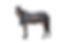 Back on Track Sienna Horse Mesh Cooler
