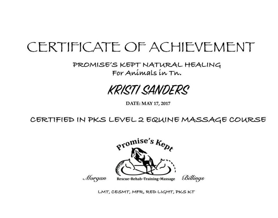 my horse and me 2 achievement my horse and me 2 achievement