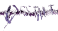 gestalt.png