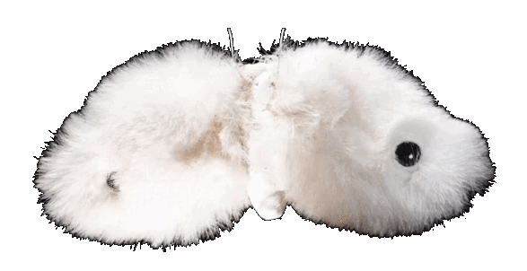 Kim Kim White Moth.gif