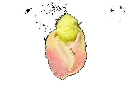 Kim Kim Neon Moth.gif