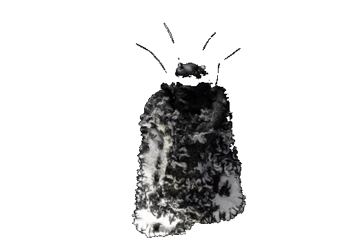 Kim Kim Snow Moth.gif