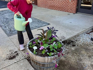 Rooted in learning: Student gardening project teaches valuable life skills