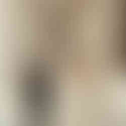 Arilis + Chris || Miami Courthouse Elopement