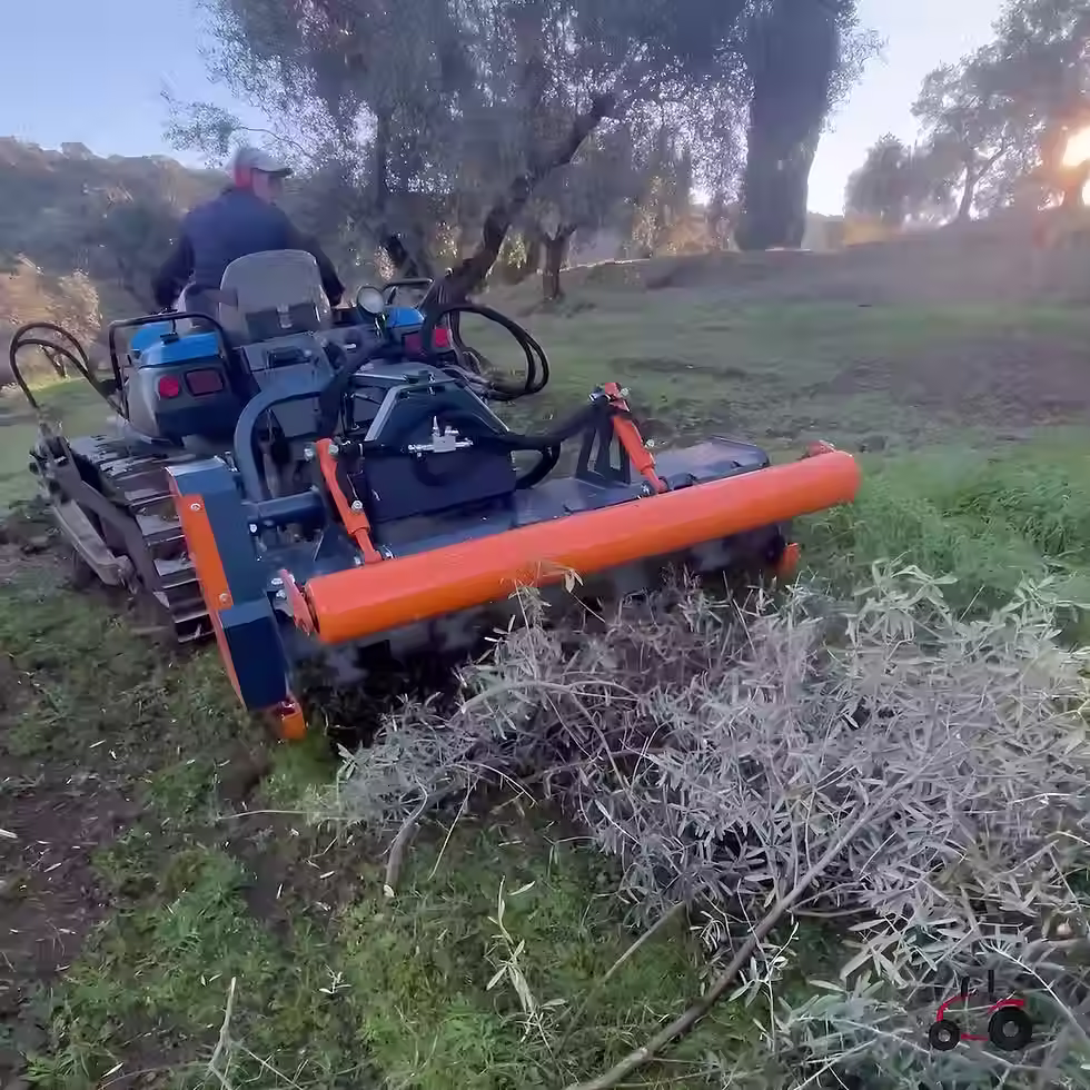 trituradora de alto rendimiento con portón trasero para olivar de la marca Fernández, mode