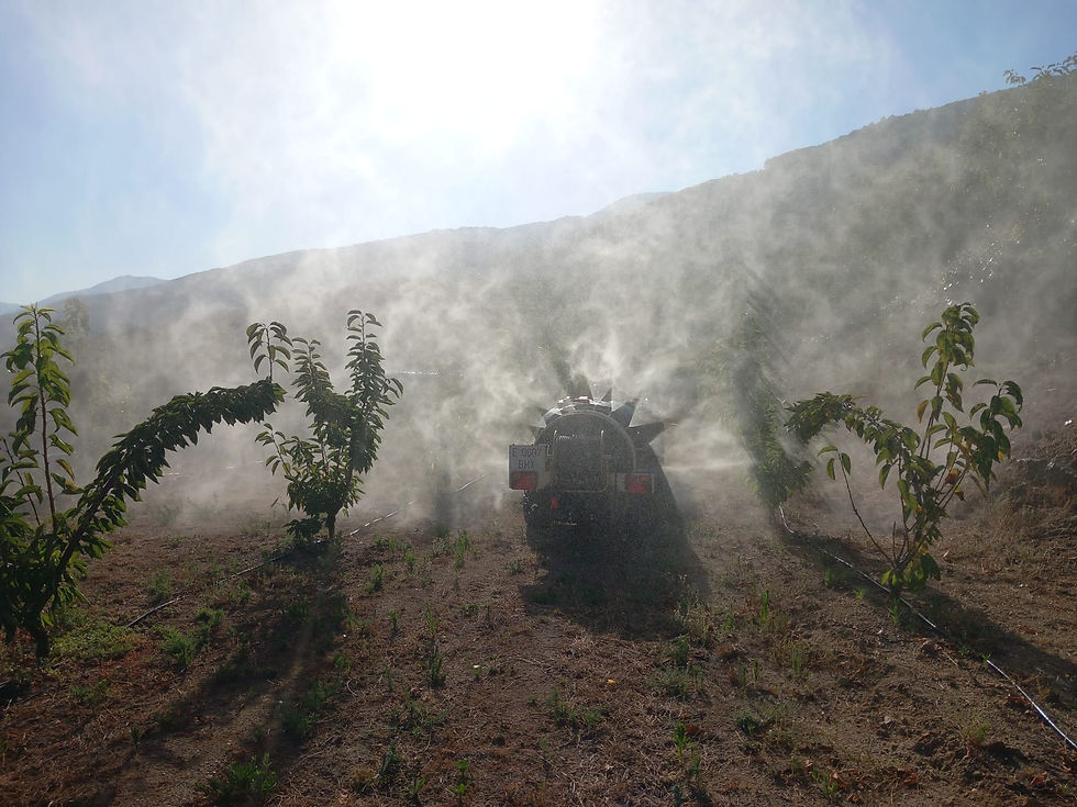 WhatsApp Image 2024-07-25 at 12.11.13 (2).jpeg