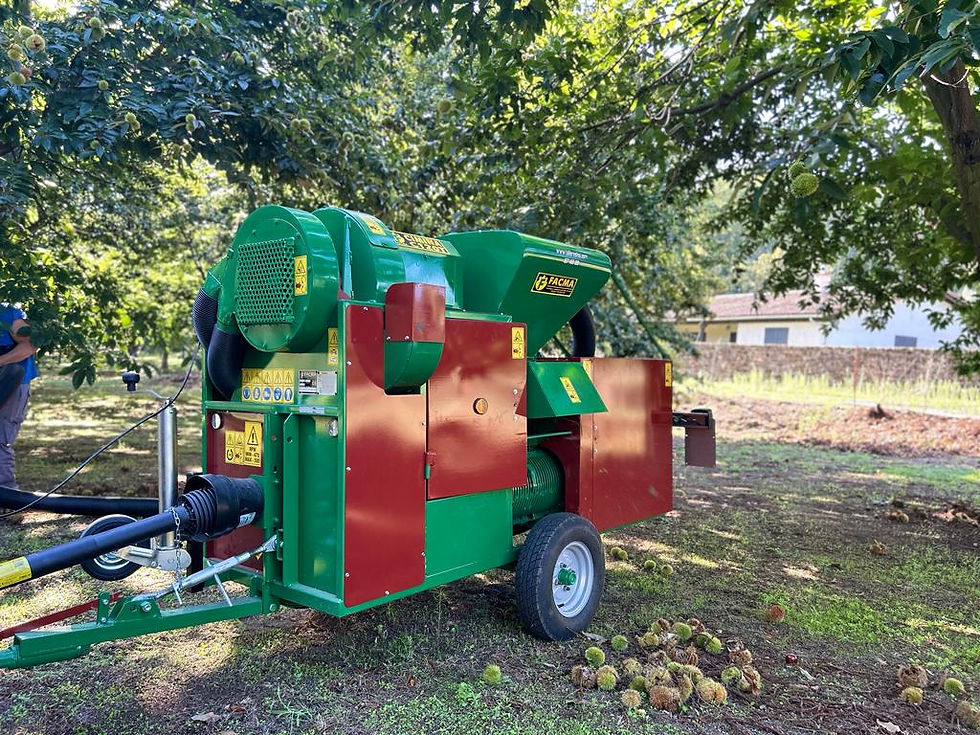 Recogedora de castañas Facma en talleres FCS