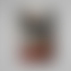 The Core: Revelation Book Cover Preview