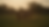 horses sunrise birdsScreen Shot 2023-08-24 at 2.17.38 PM.png