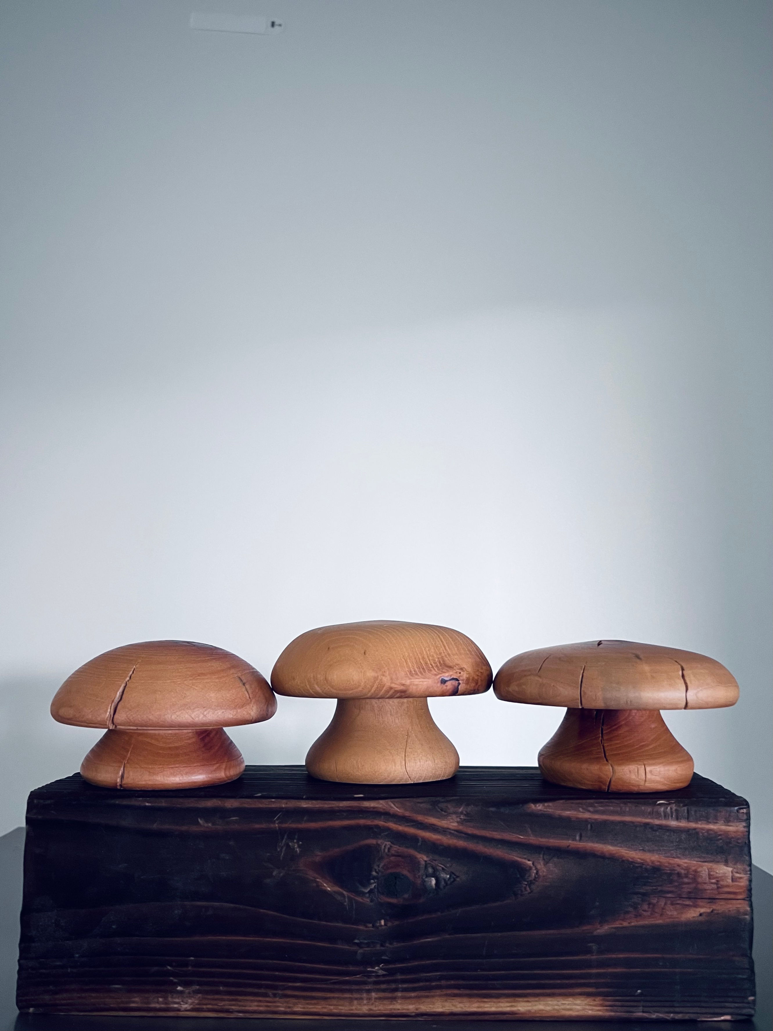 The FunGi Collection