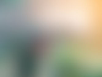 Here Are Some Importance Of Tree Pruning