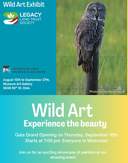 Poster - Wild Art (2).png
