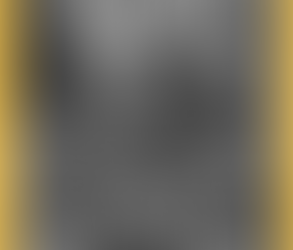 Congressional Gold Award