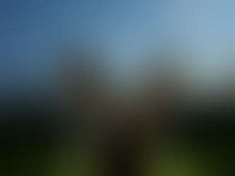 Autumn 2020 - BLUE MOON UPDATE