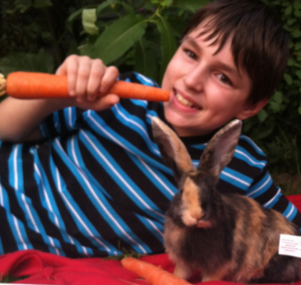 BUNNIES! | Peacebunny Island