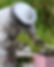 NZ8_2663.jpg