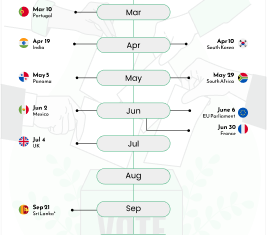 A Year of Electoral Upheaval: Key Elections and Shifts in 2024
