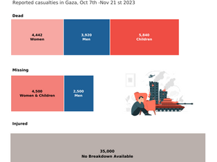 Echoes of Loss: The Toll of War in Gaza