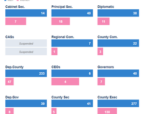 Breaking Barriers: Kenyan Gender Representation in Leadership Roles (2023)