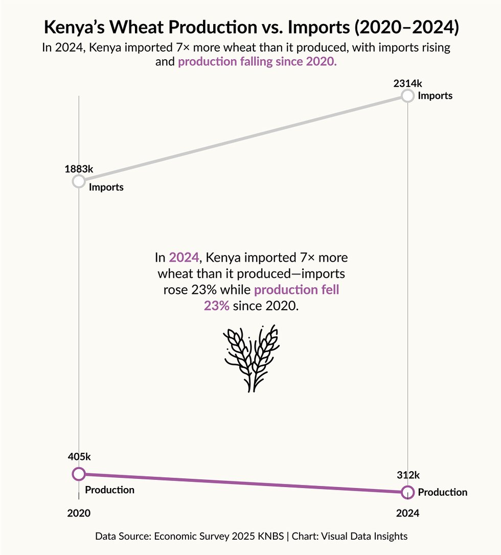 The Great Kenyan Wheat Paradox: Import Thy Bread, Forget the Plough