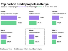 Kenya’s Carbon Credit Powerhouses-Household & Community Projects.