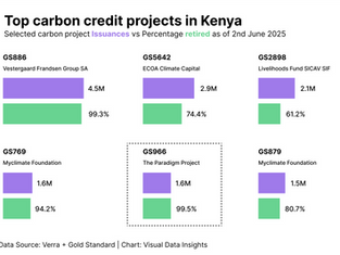 Kenya’s Carbon Credit Powerhouses-Household & Community Projects.