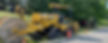 plow and minis_edited.jpg