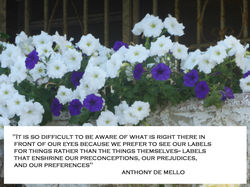 AM Its Difficult.jpg