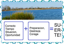 Tienes toda la "suerte"