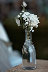 IMG_9955.JPG