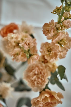 DSCF1038.jpg
