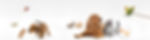 INDIVIDUAL & GROUP PET INSURANCE