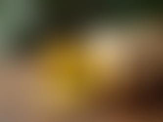 Top Natural Health Remedies for Everyday Use