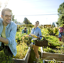 Community gardening activity