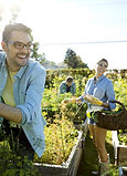 Community Garden